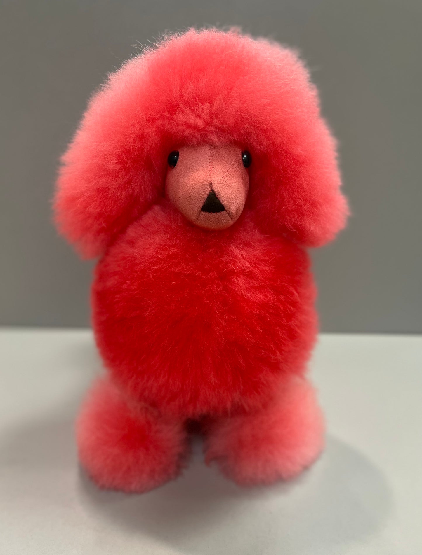 Natural - Alpaca Wool Poodle